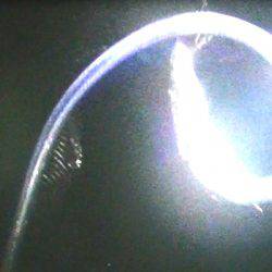 焼津港は太刀魚！カマスも好調